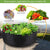 Circular Fabric Growing Bags for Plants, Flowers and Vegetables - minxxshop.com
