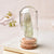 1 Piece Natural Mineral Specimen with Cloche - minxxshop.com