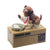1-piece-robotic-dog-banco-canino-money-box-money-bank-automatic-stole-coin-piggy-bank-money-saving-box-moneybox-gifts-for-kid