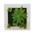 Creative 3D Artificial Plants,Flowers,Floral Wall Decor - minxxshop.com