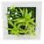 Creative 3D Artificial Plants,Flowers,Floral Wall Decor - minxxshop.com