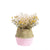 rattan-straw-wicker-folding-seagrasss-flower-pot-baskets